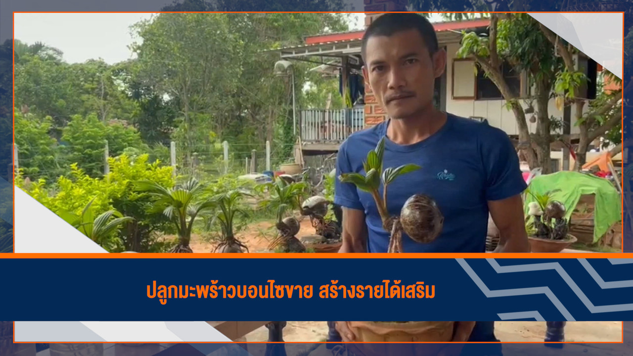 ็HaveANEWSDay-1-641220-3