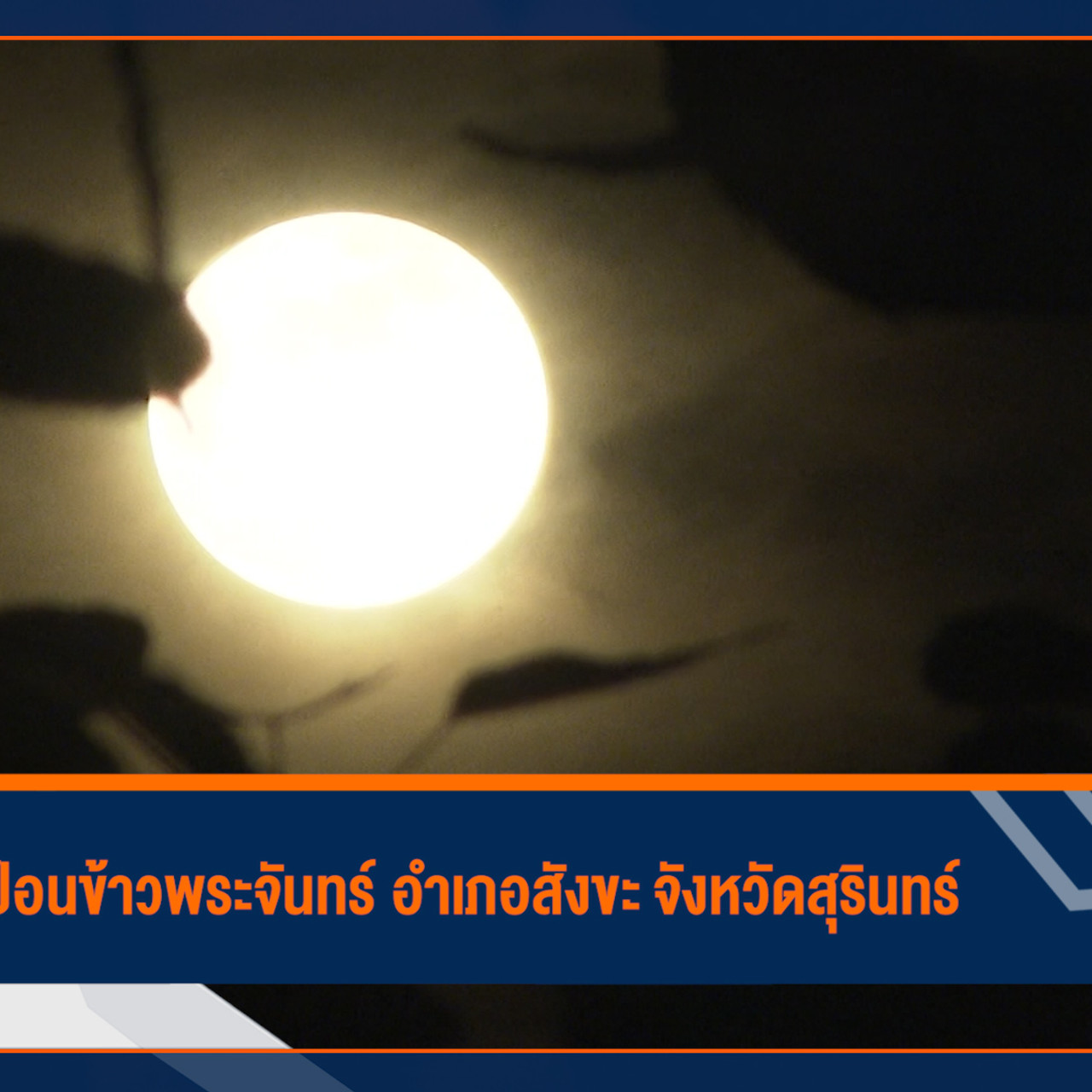 ็HaveANEWSDay-1-641221-6