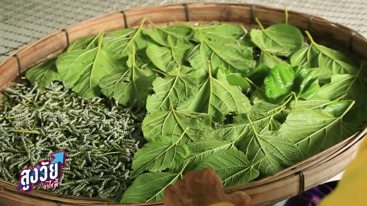 AgedVariety_641203-(3)