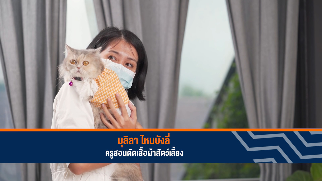 ็HaveANEWSDay-1-641208-2