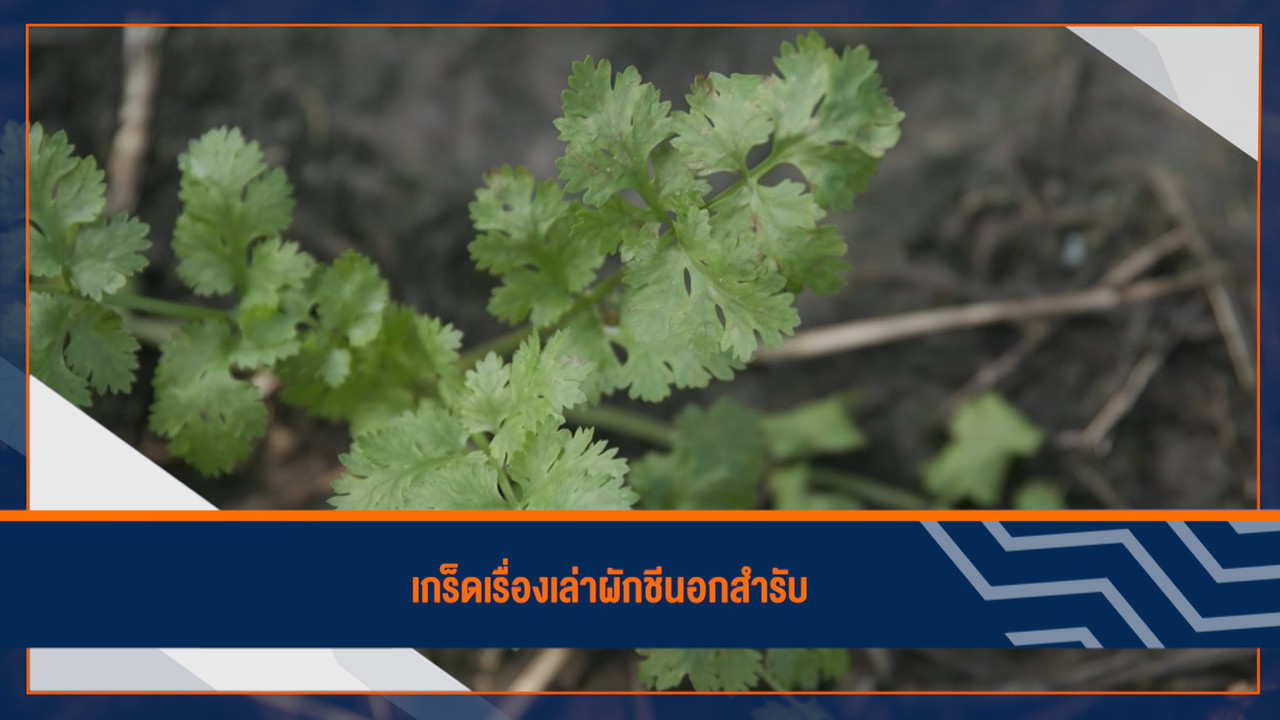 HaveANEWSDay-1-650208-10