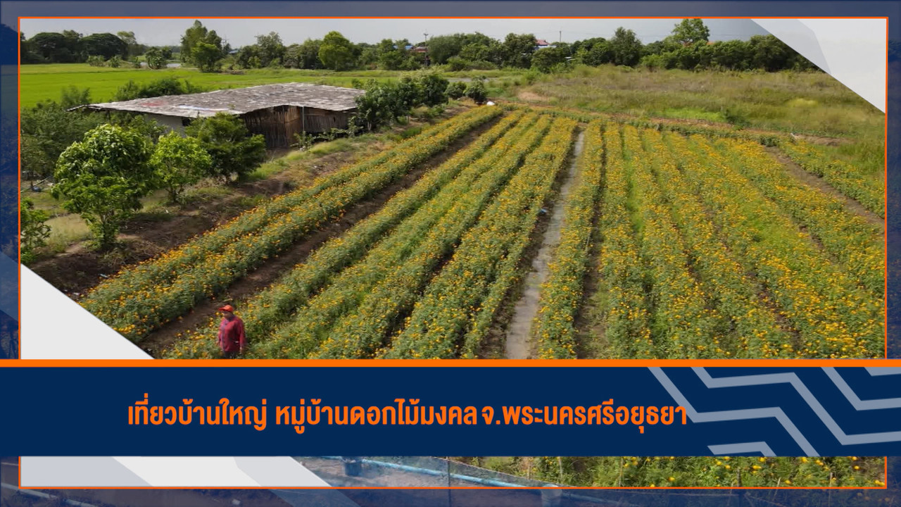 ็HaveANEWSDay-1-650209-1