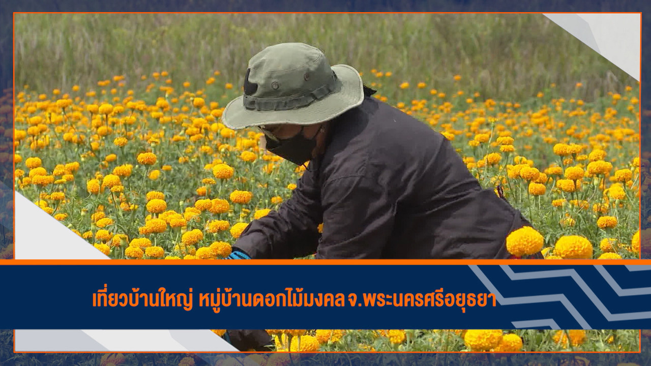 ็HaveANEWSDay-1-650209-2