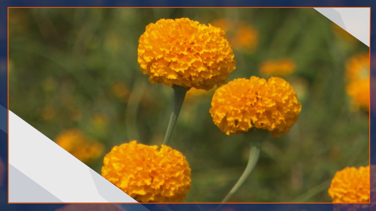 ็HaveANEWSDay-1-650209-3