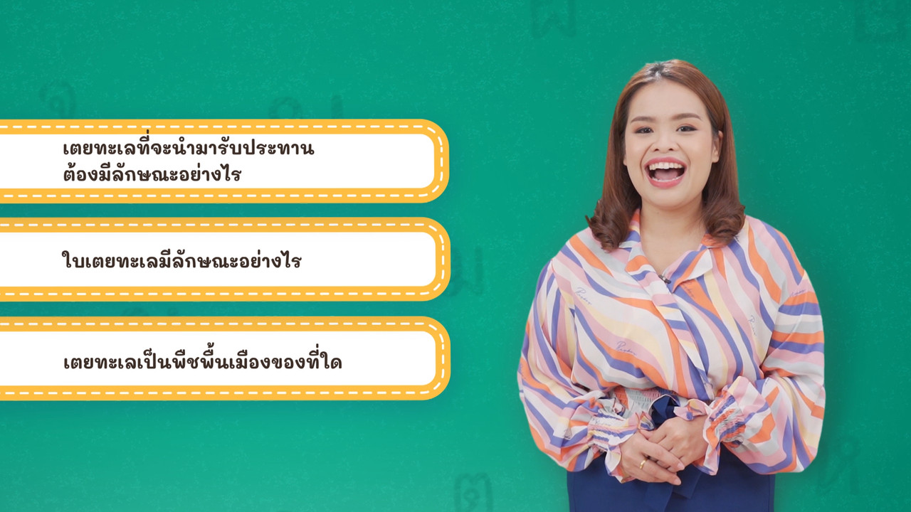 Thai-650219-3