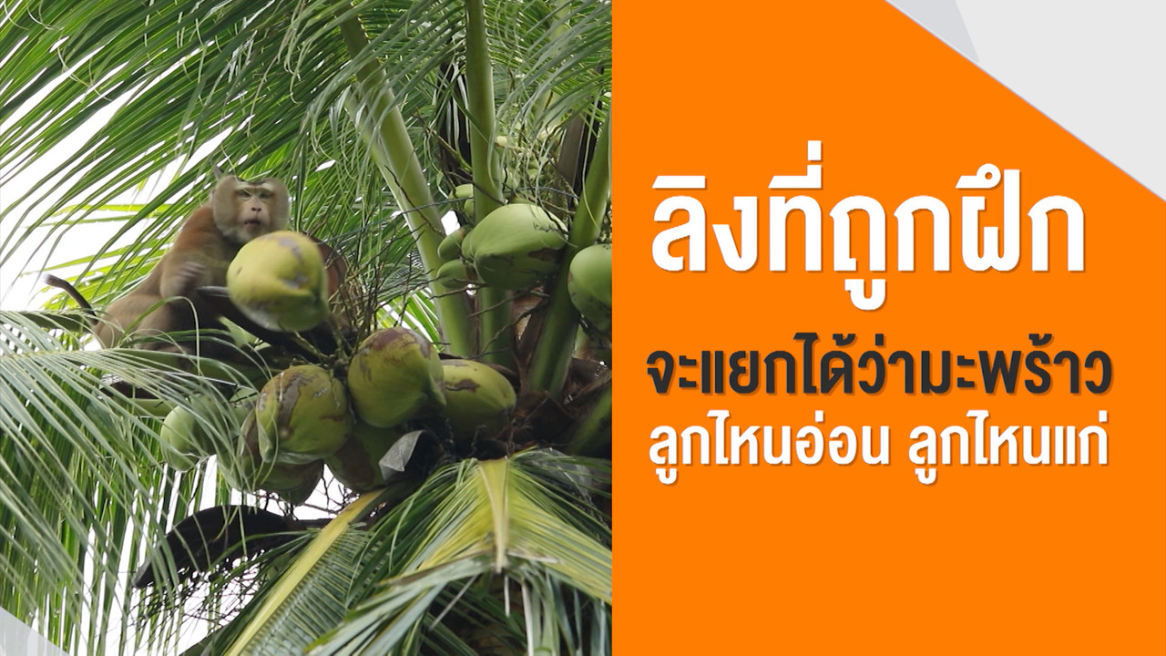 ็HaveANEWSDay-1-650214-13