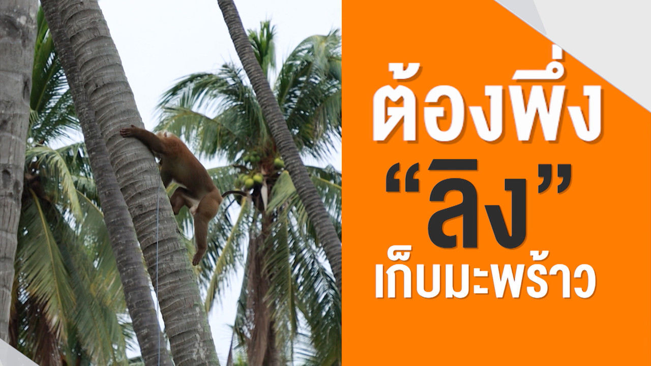 ็HaveANEWSDay-1-650214-14
