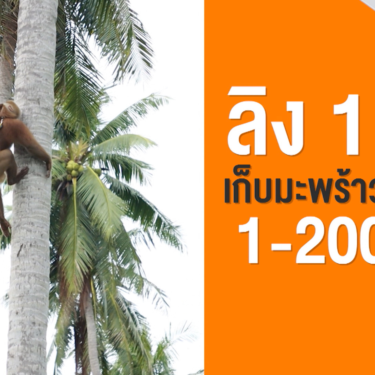 ็HaveANEWSDay-1-650214-14
