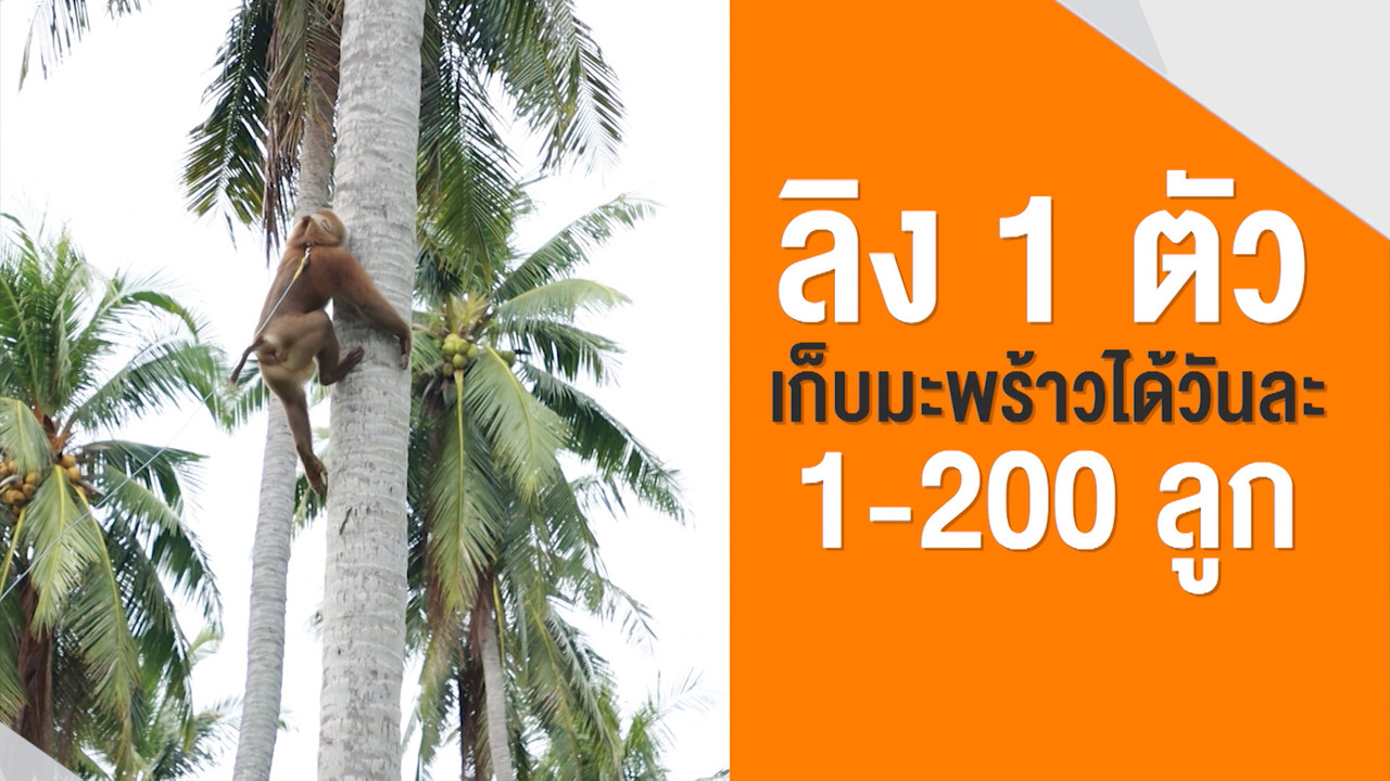 ็HaveANEWSDay-1-650214-14