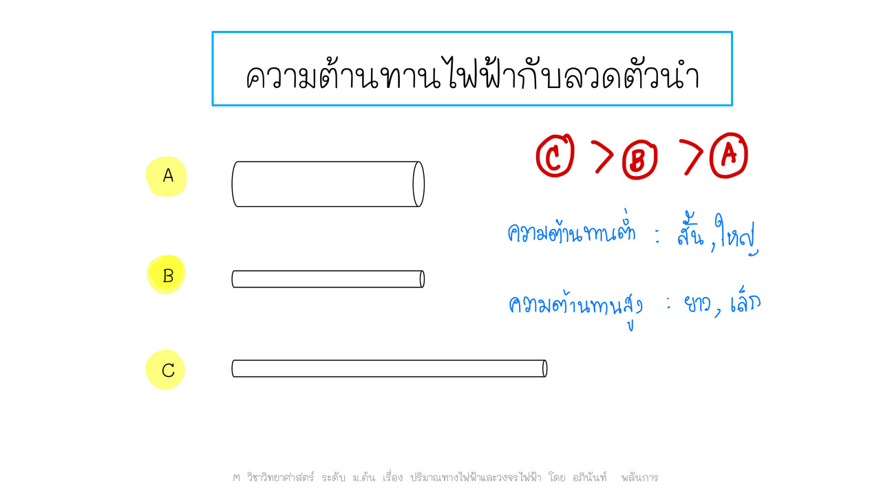TutorMton650312-3