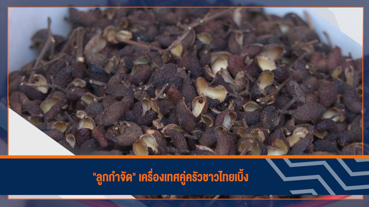 ็HaveANEWSDay-1-650307-2