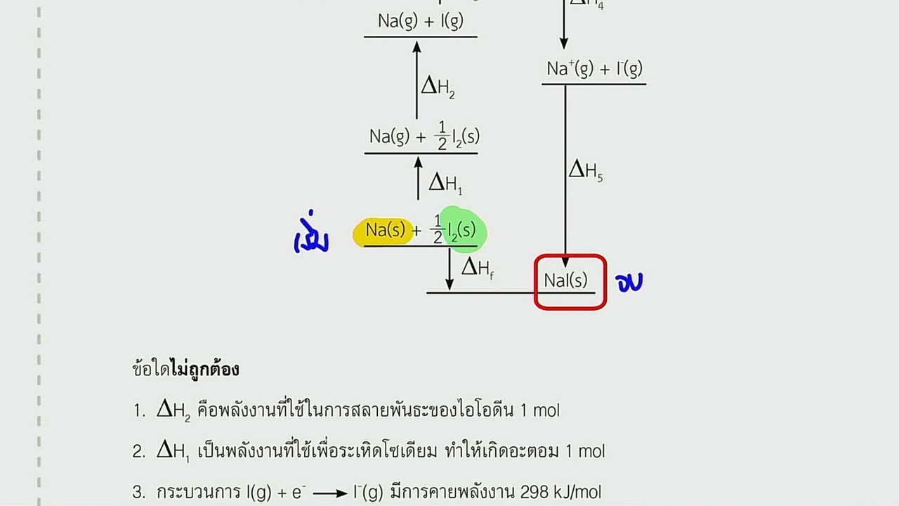 tutorU-650319-8