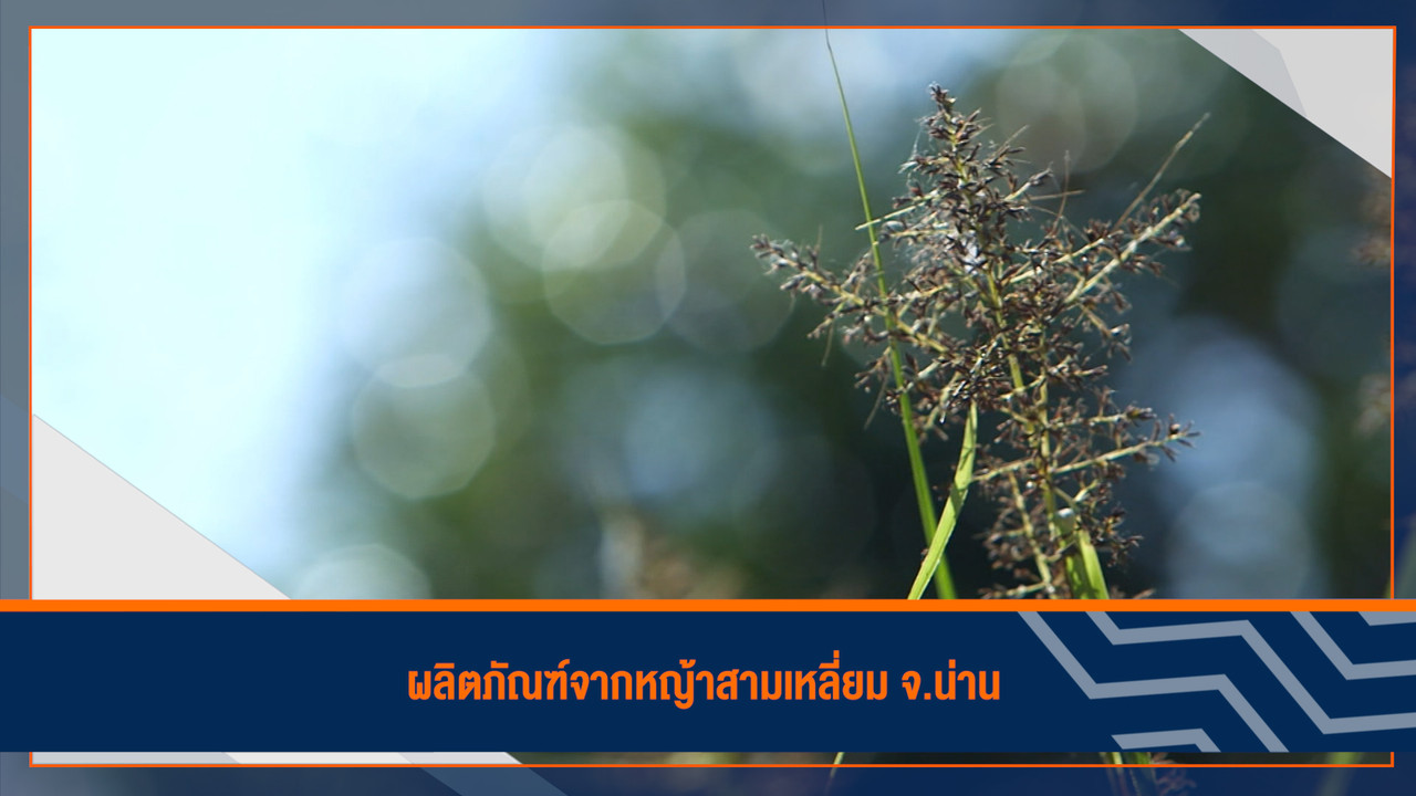 ็HaveANEWSDay-1-650322-21