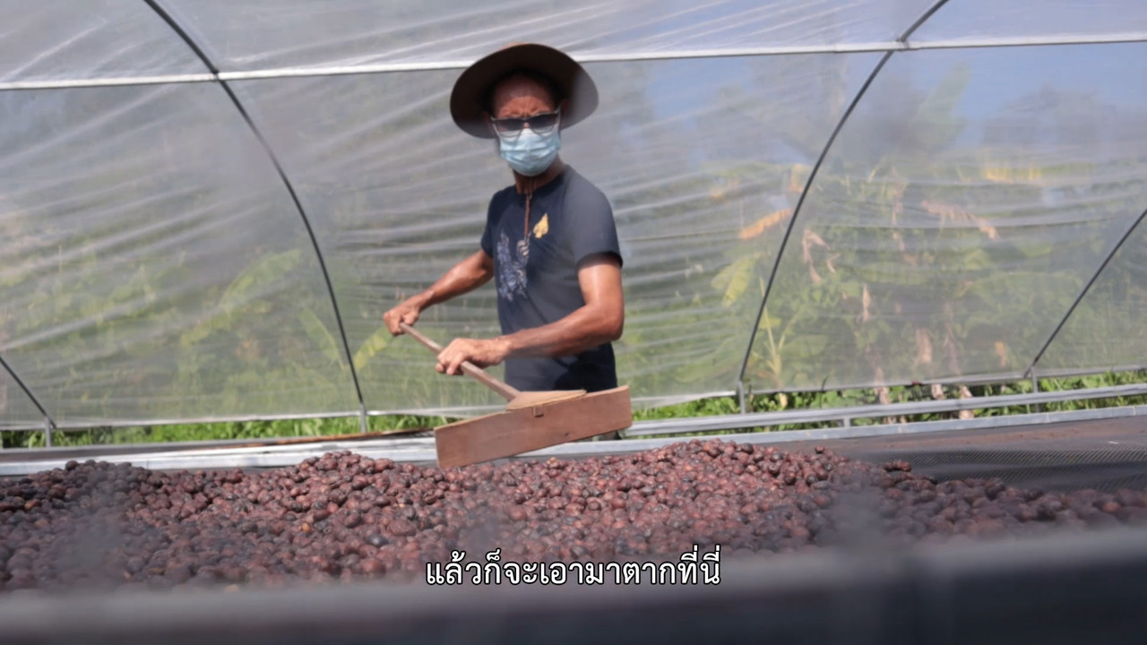 ็HaveANEWSDay-1-650218-10