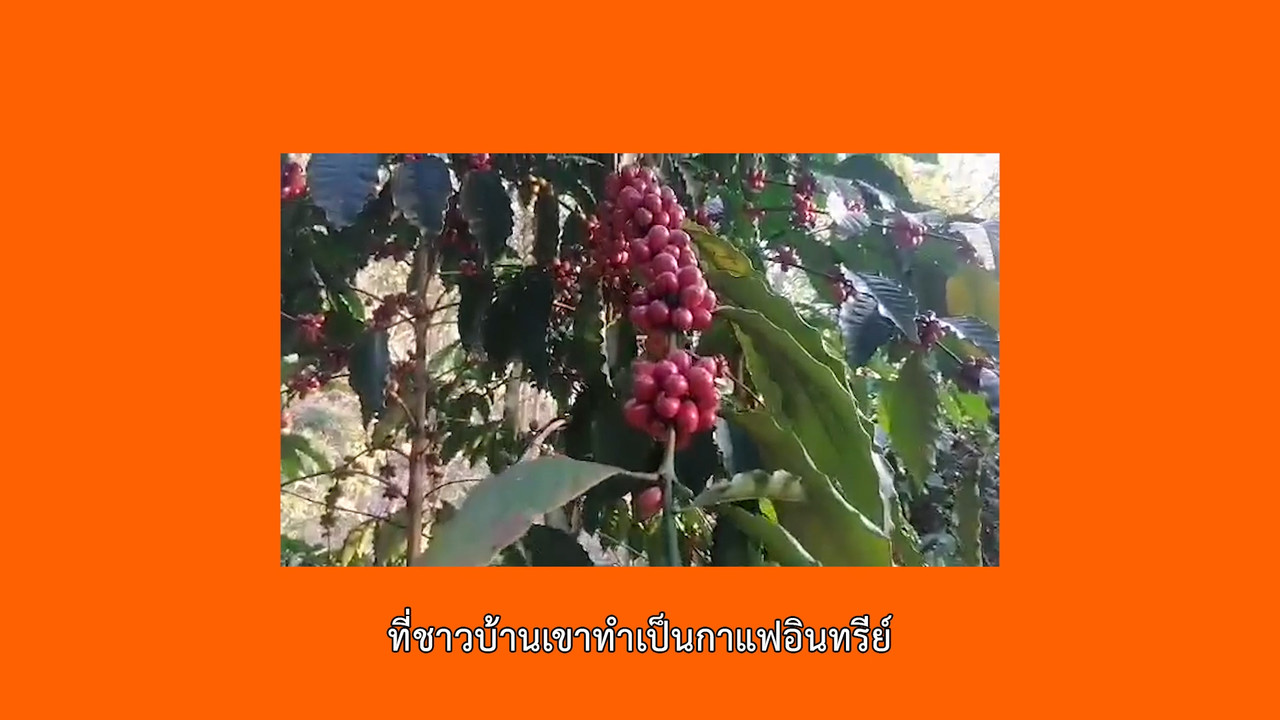 ็HaveANEWSDay-1-650218-6