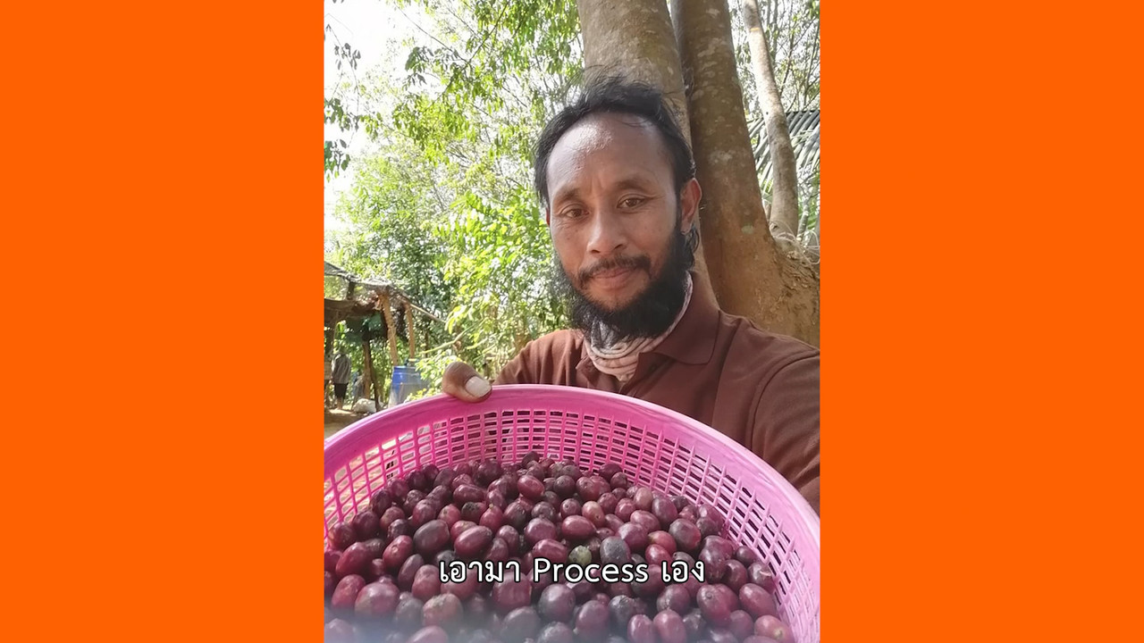 ็HaveANEWSDay-1-650218-9