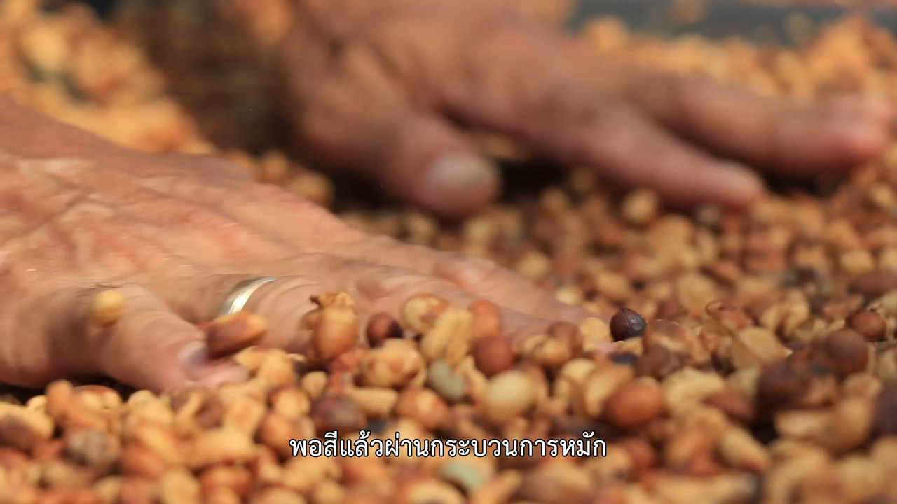 ็HaveANEWSDay-1-650218-16