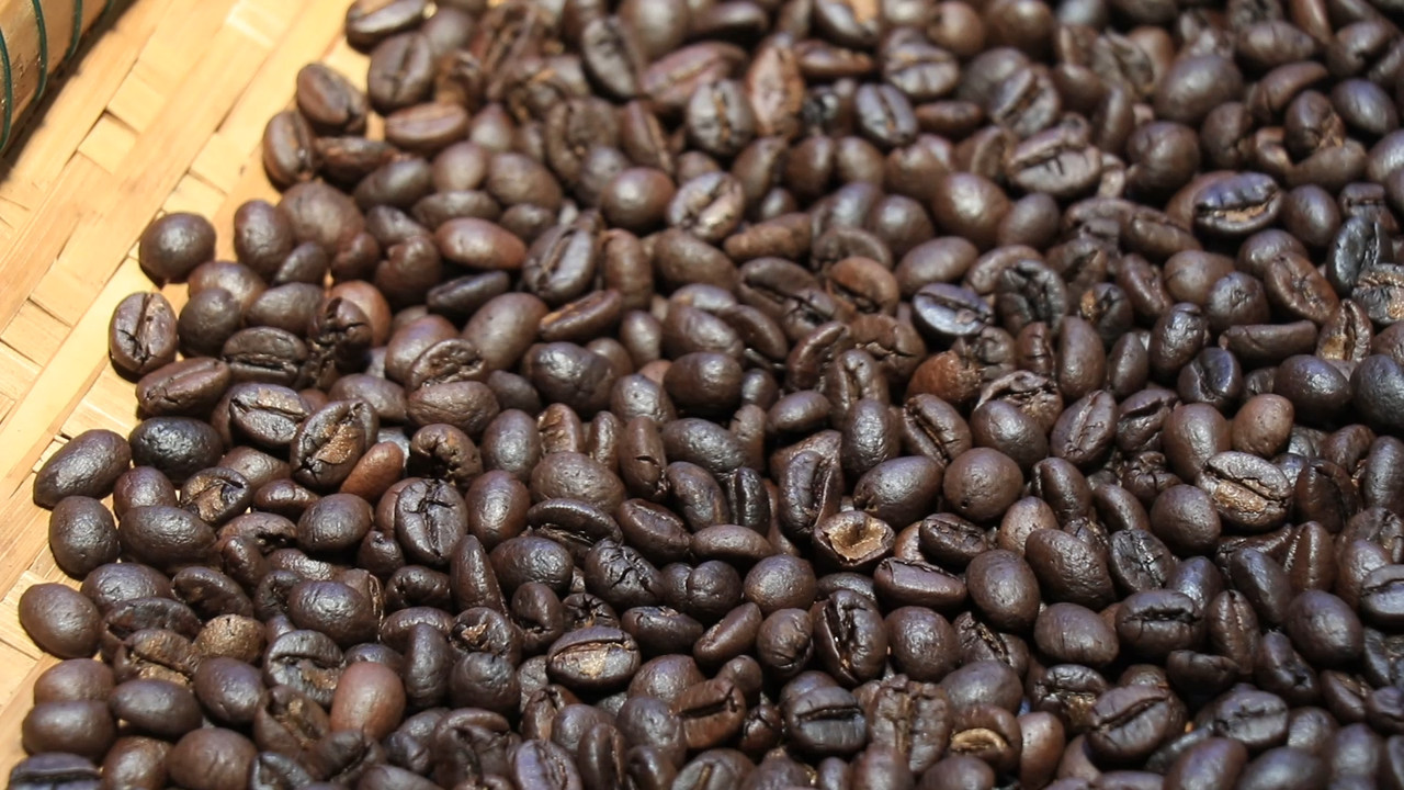 ็HaveANEWSDay-1-650218-13