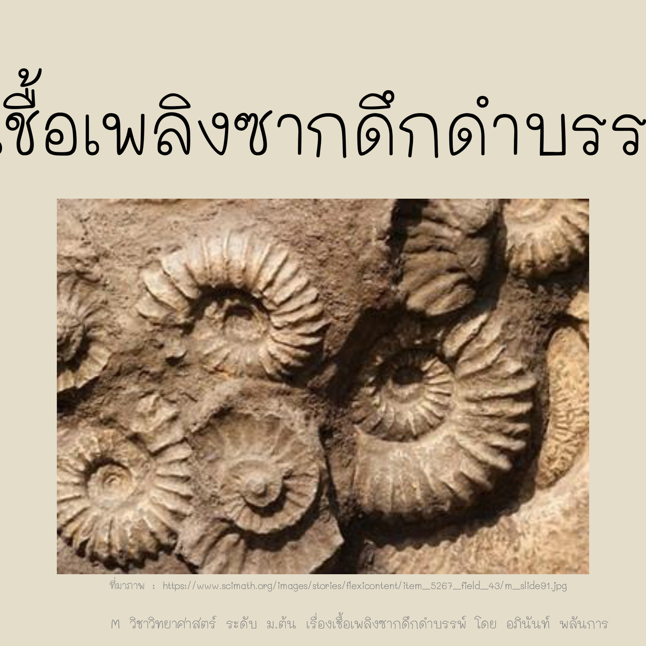 TutorMton650226-1