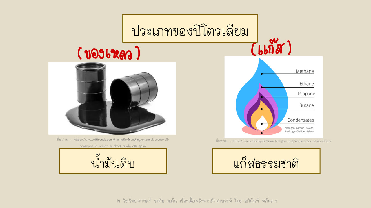 TutorMton650226-3