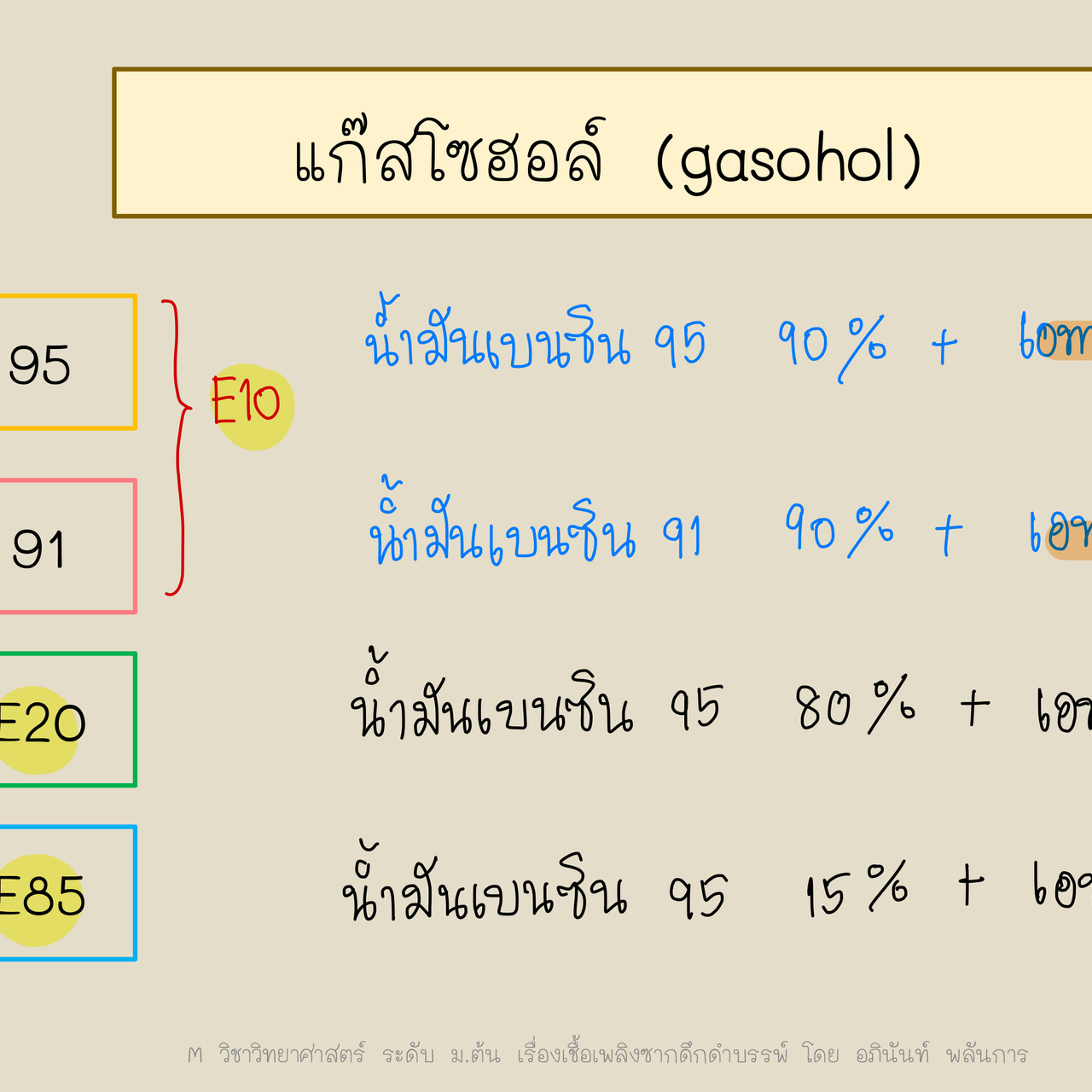 TutorMton650226-5