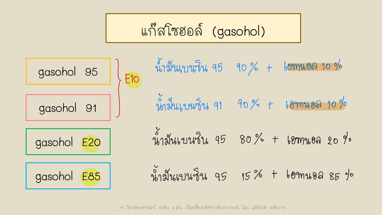 TutorMton650226-5