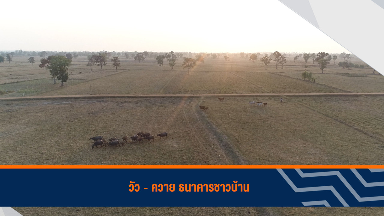 ็HaveANEWSDay-1-650301-25