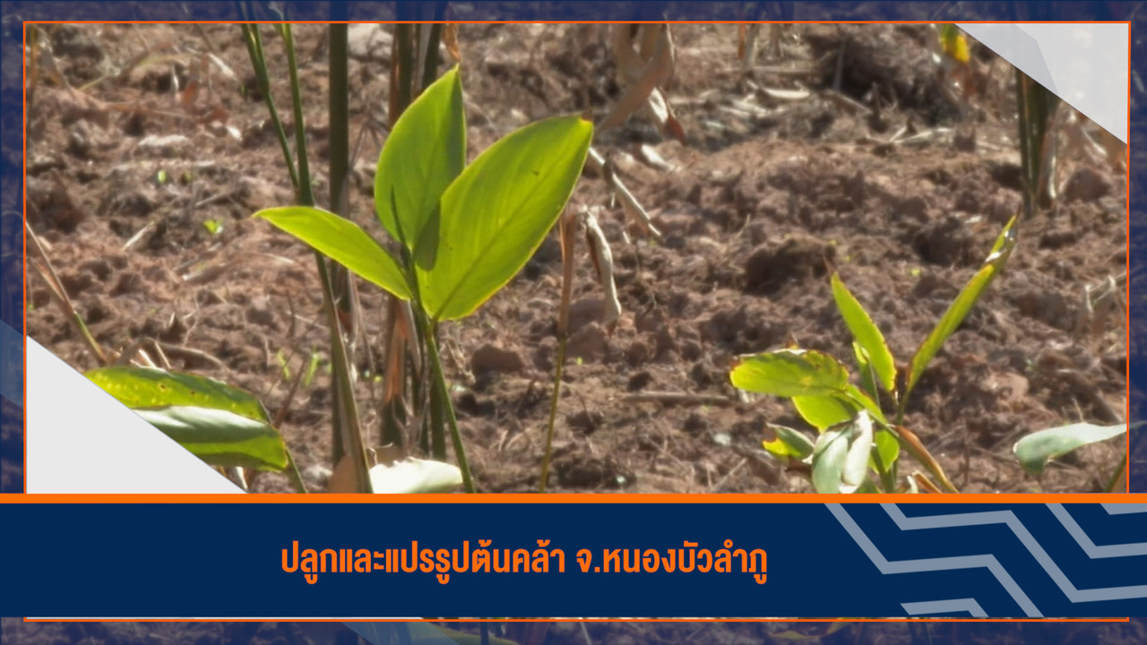 ็HaveANEWSDay-1-650301-2