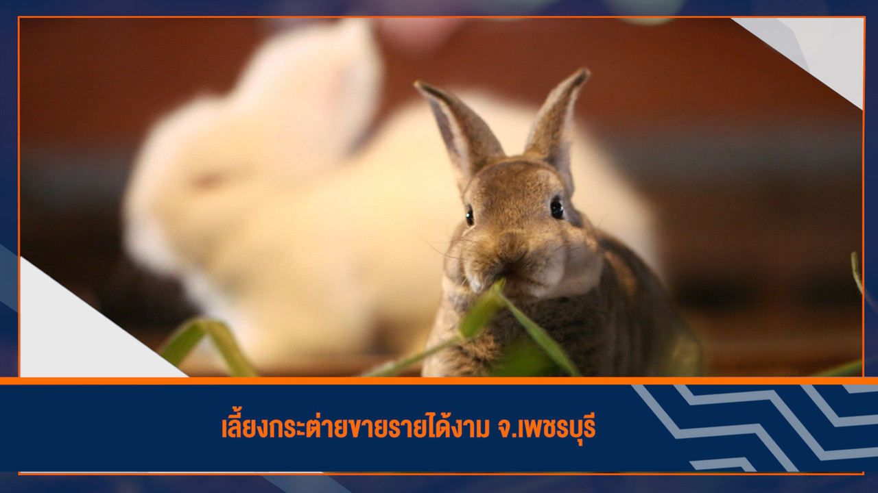 ็HaveANEWSDay-1-650304-22