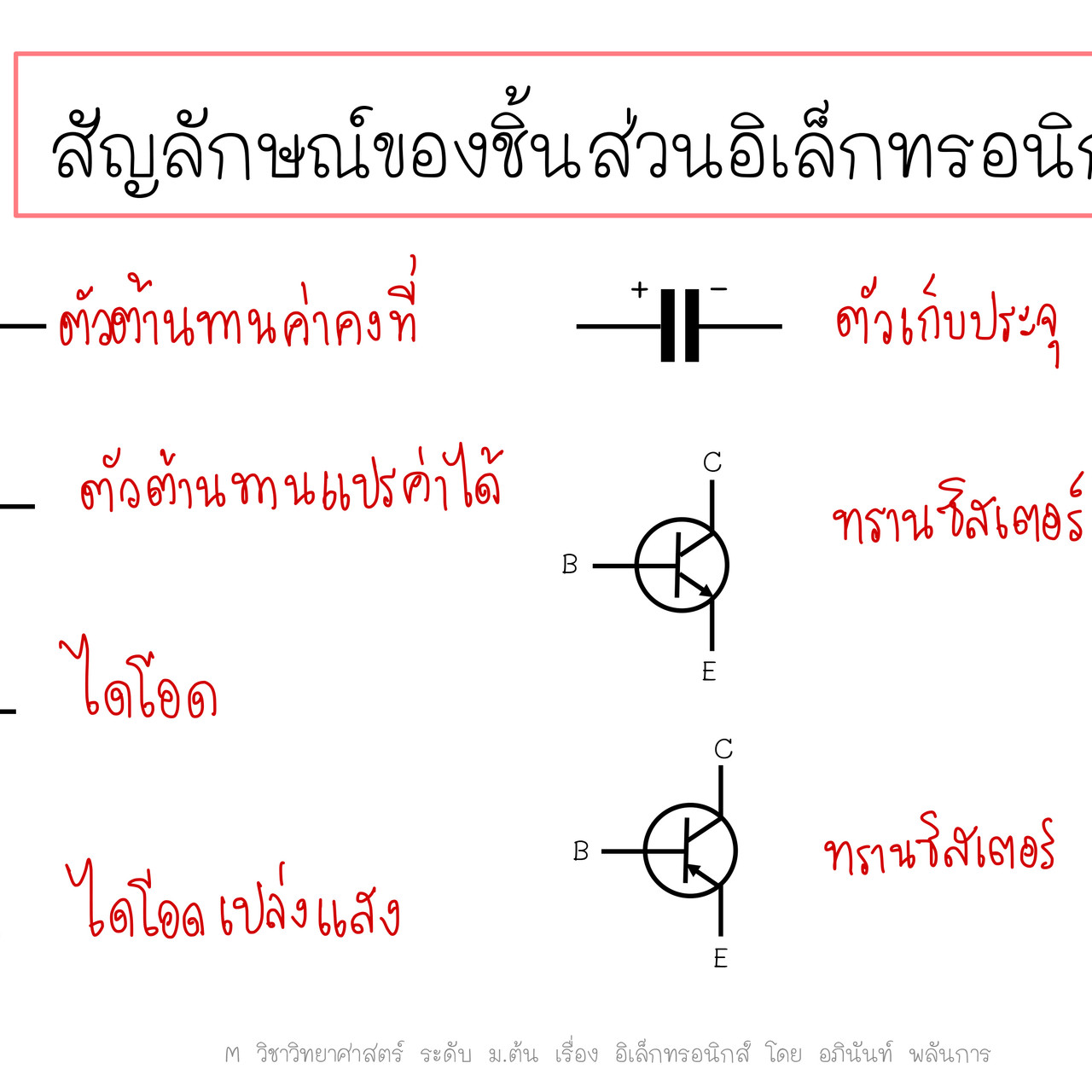 TutorMton650326-3