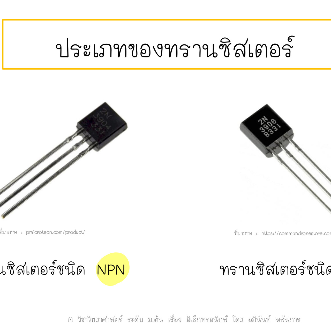 TutorMton650326-2