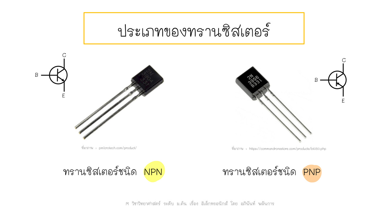 TutorMton650326-2