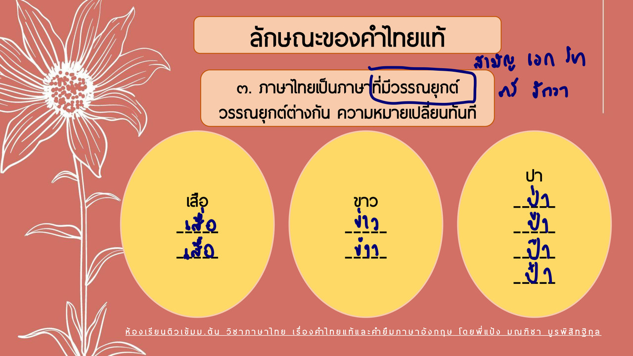 TutorMton650328-4
