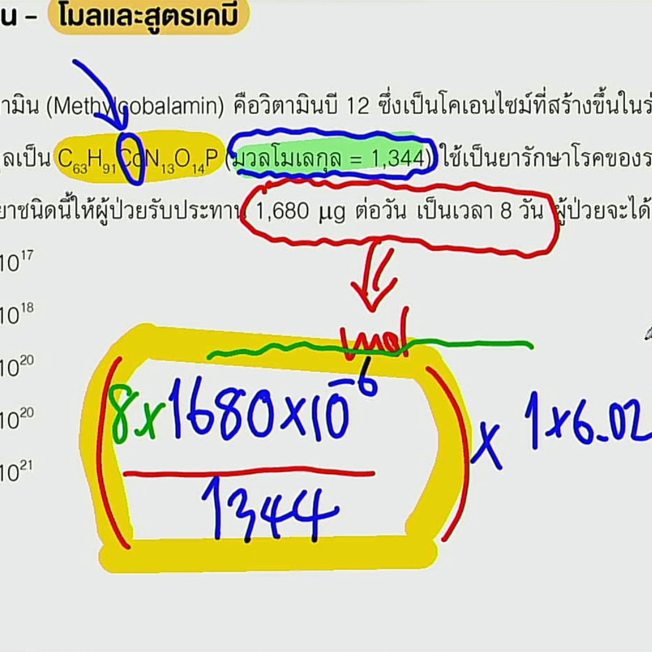 tutorU-650326-3