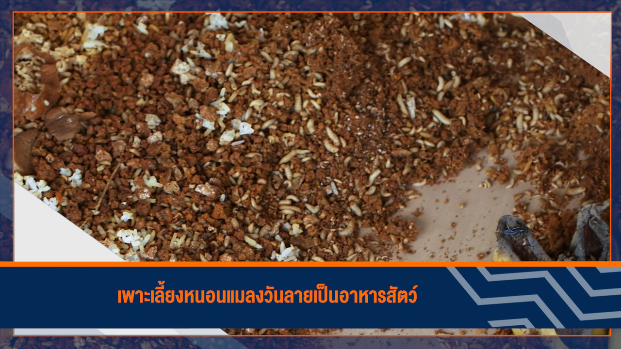 HaveANEWSDay-1-650423- (11)