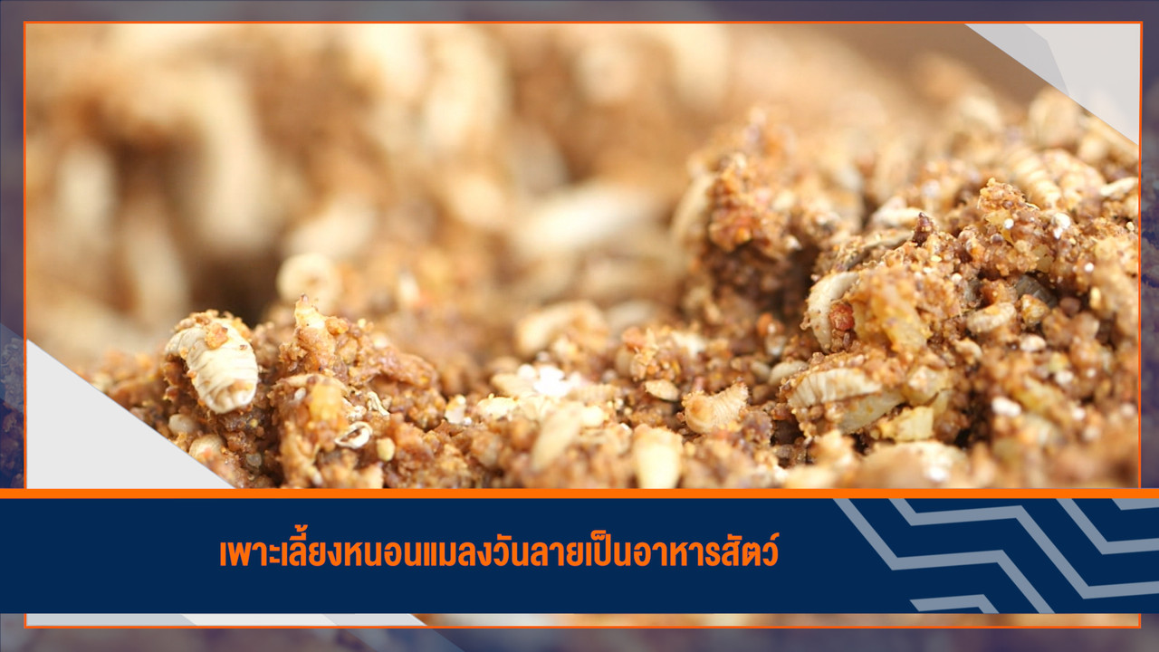 HaveANEWSDay-1-650423- (10)