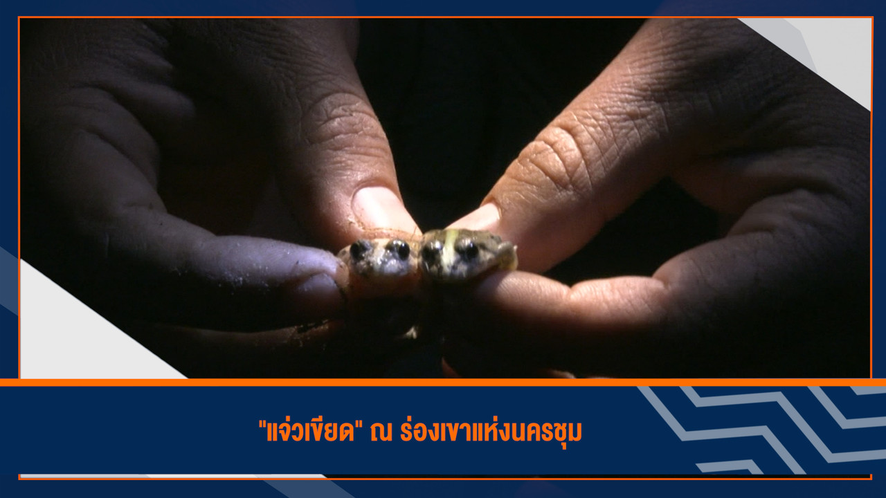 HaveANEWSDay-1-650425- (2)