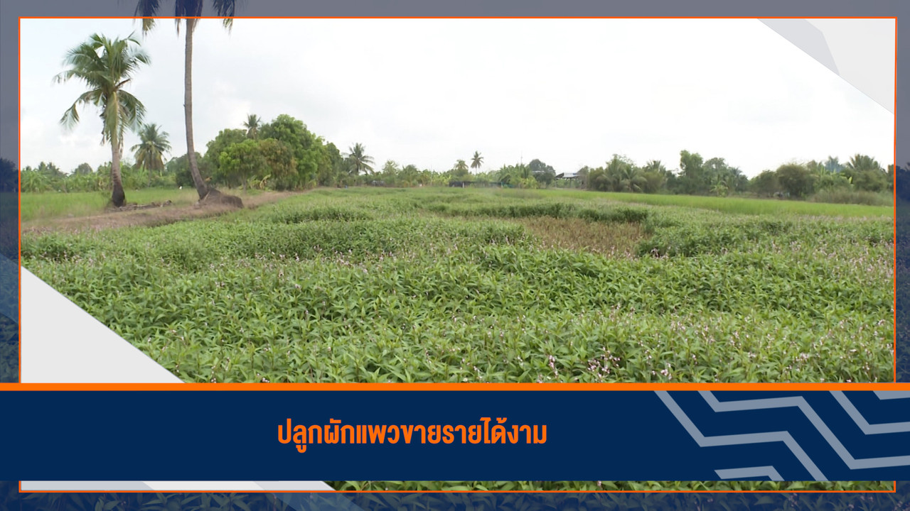 HaveANEWSDay-1-650425- (11)