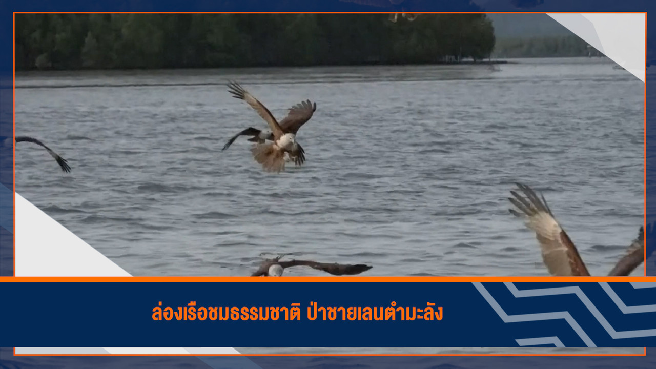 HaveANEWSDay-1-650430- (26)
