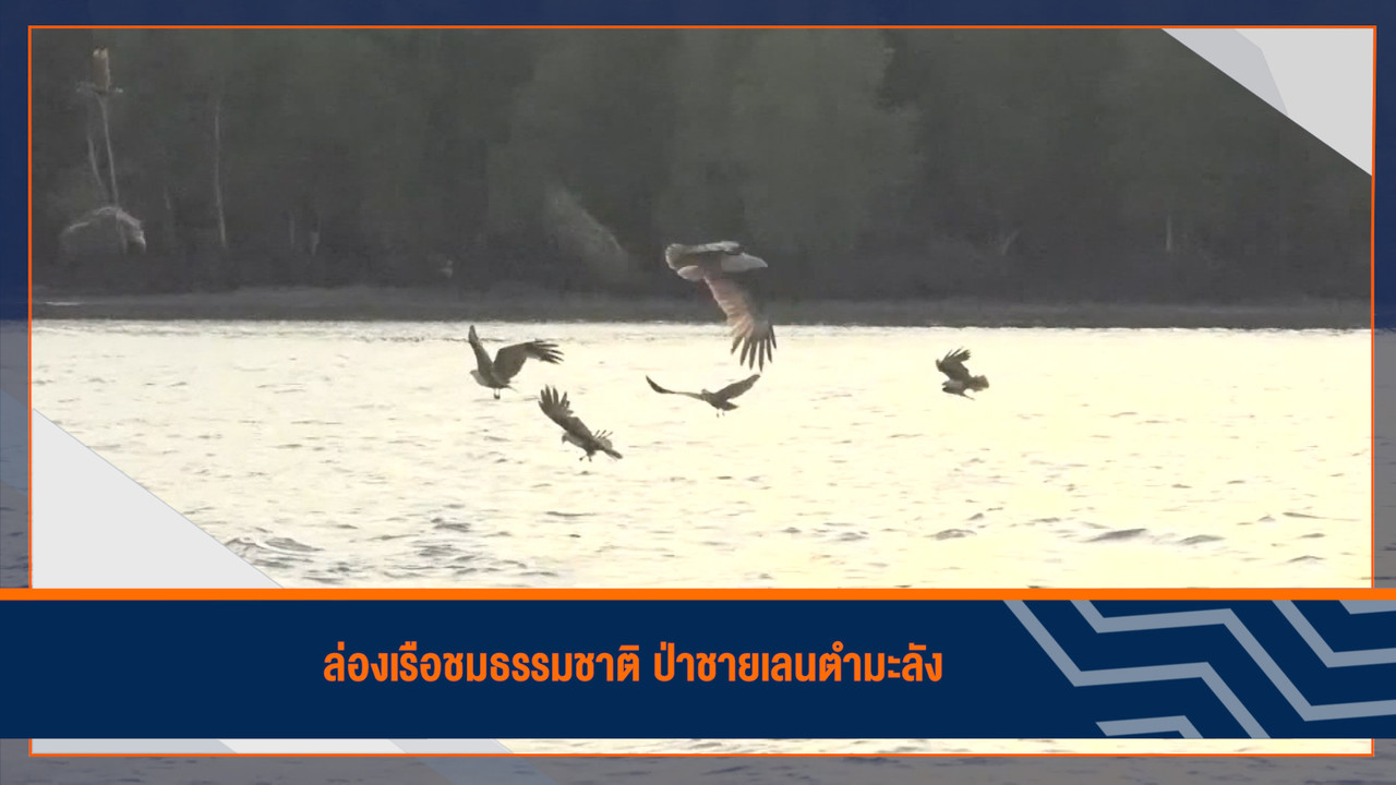 HaveANEWSDay-1-650430- (21)
