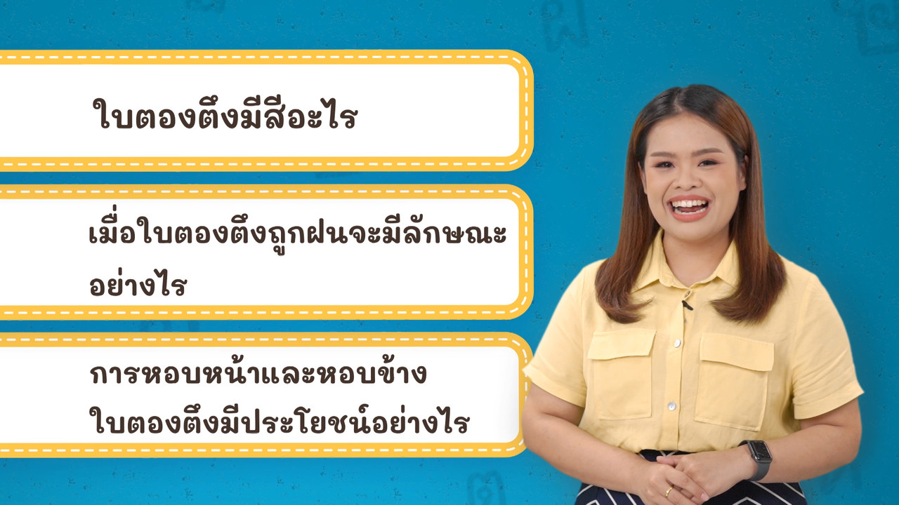 Thai-650416-2