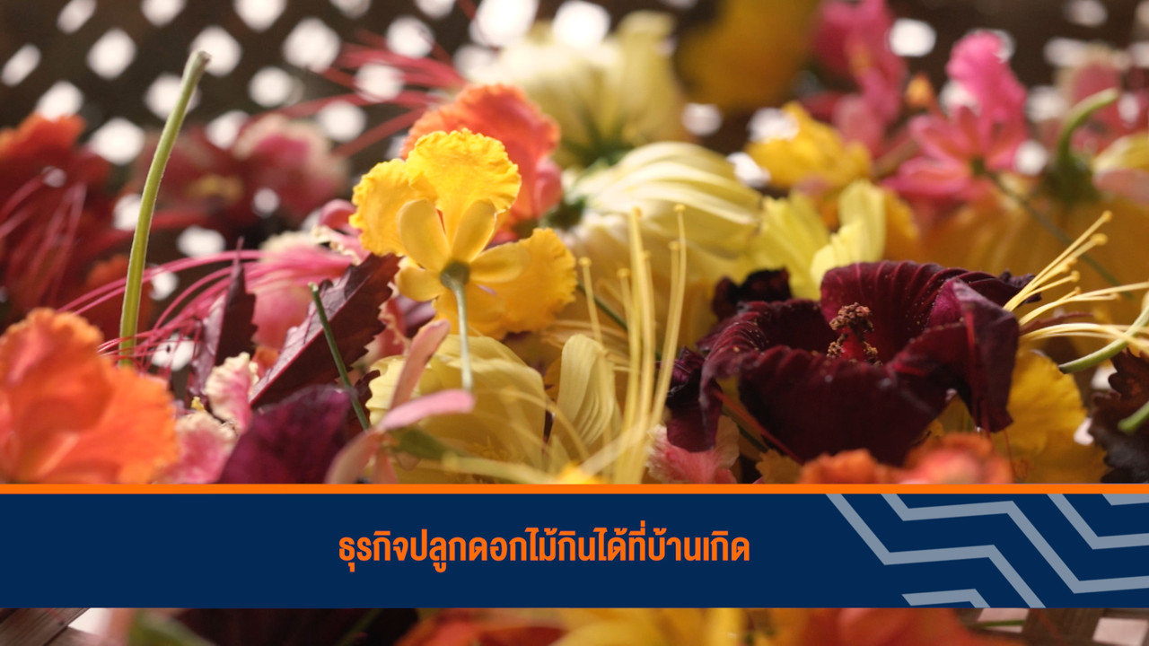HaveANEWSDay-1-650418- (7)