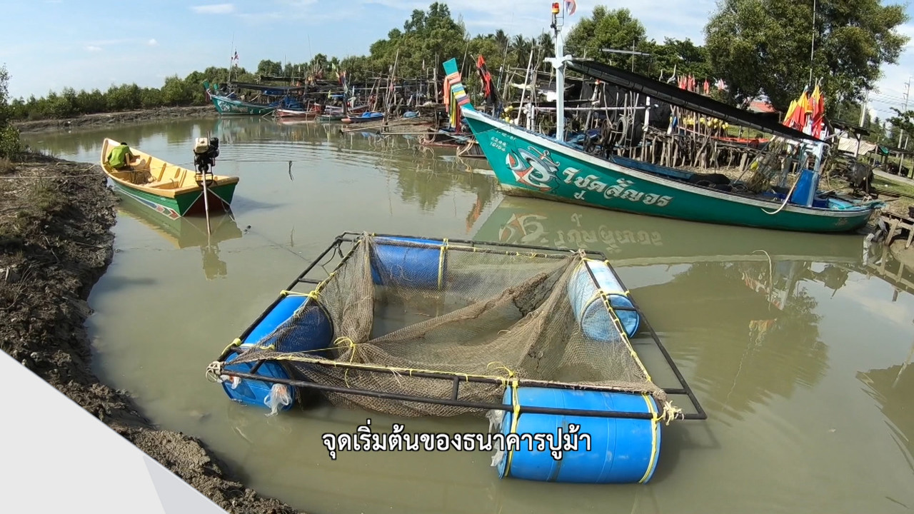 HaveANEWSDay-1-650418- (23)