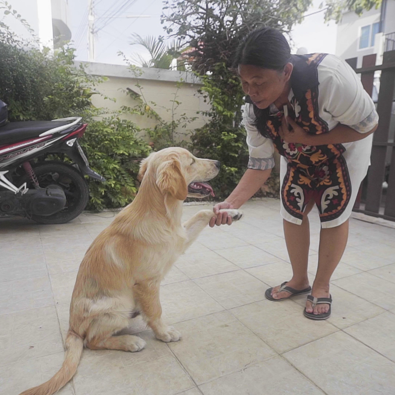 PetsLover650429-5