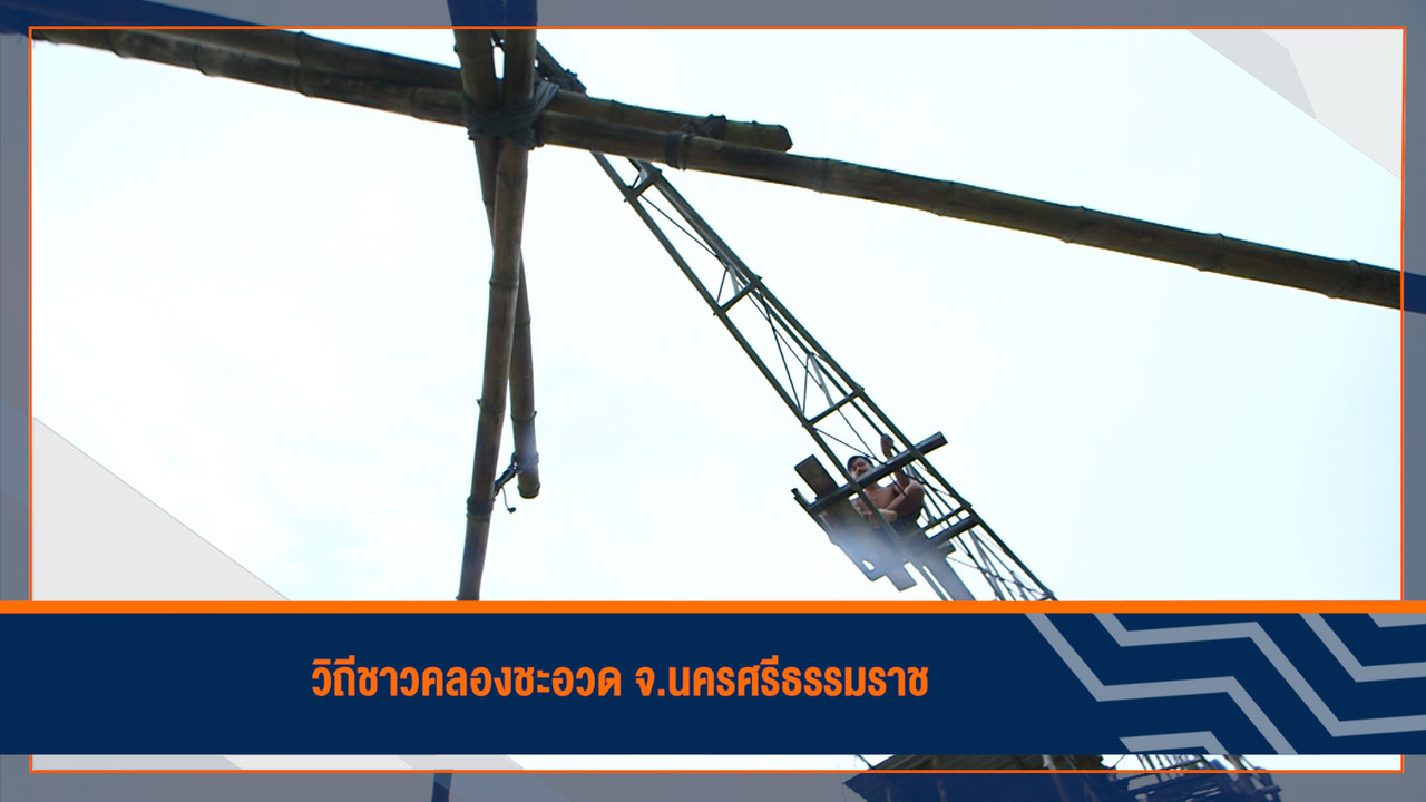 HaveANEWSDay-1-650507- (20)