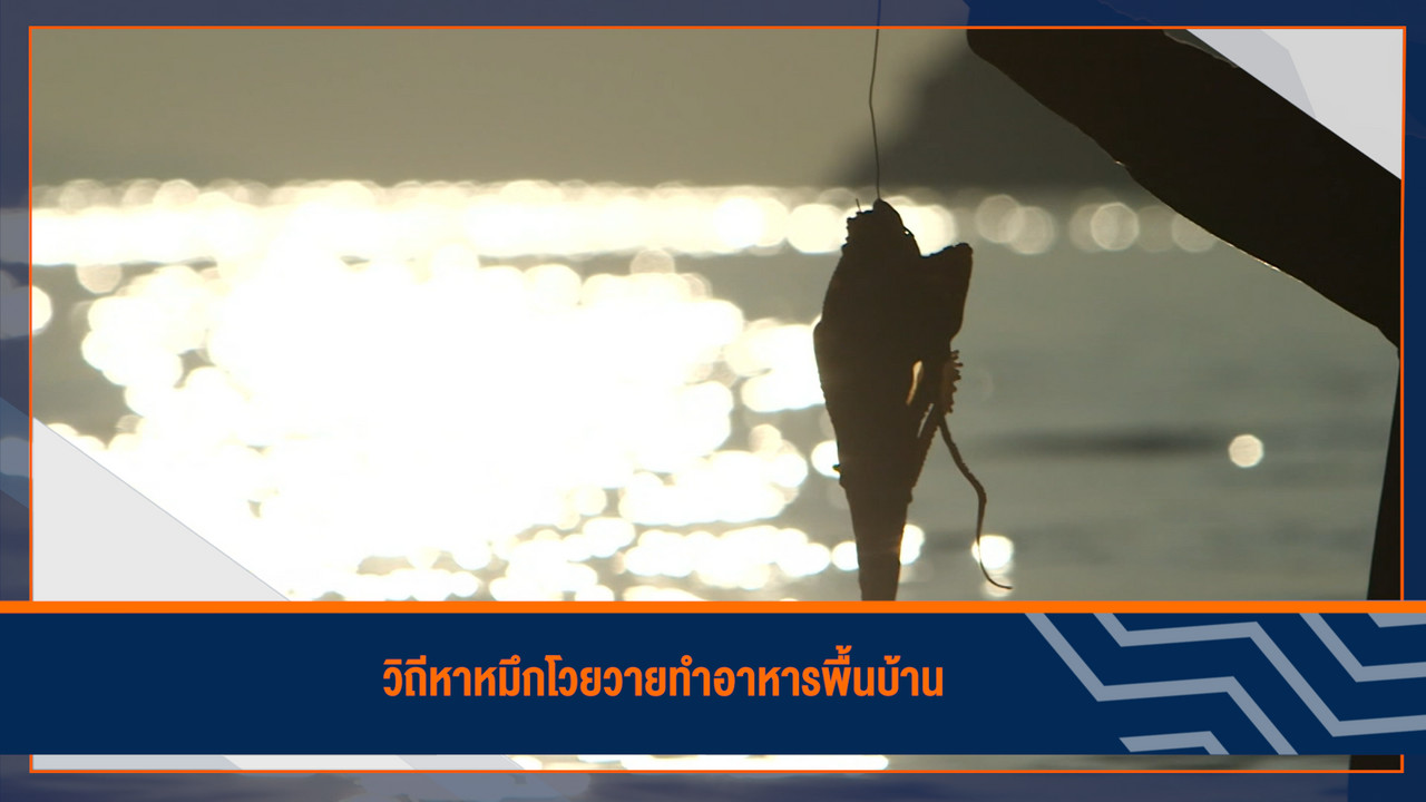 HaveANEWSDay-1-650515- (21)