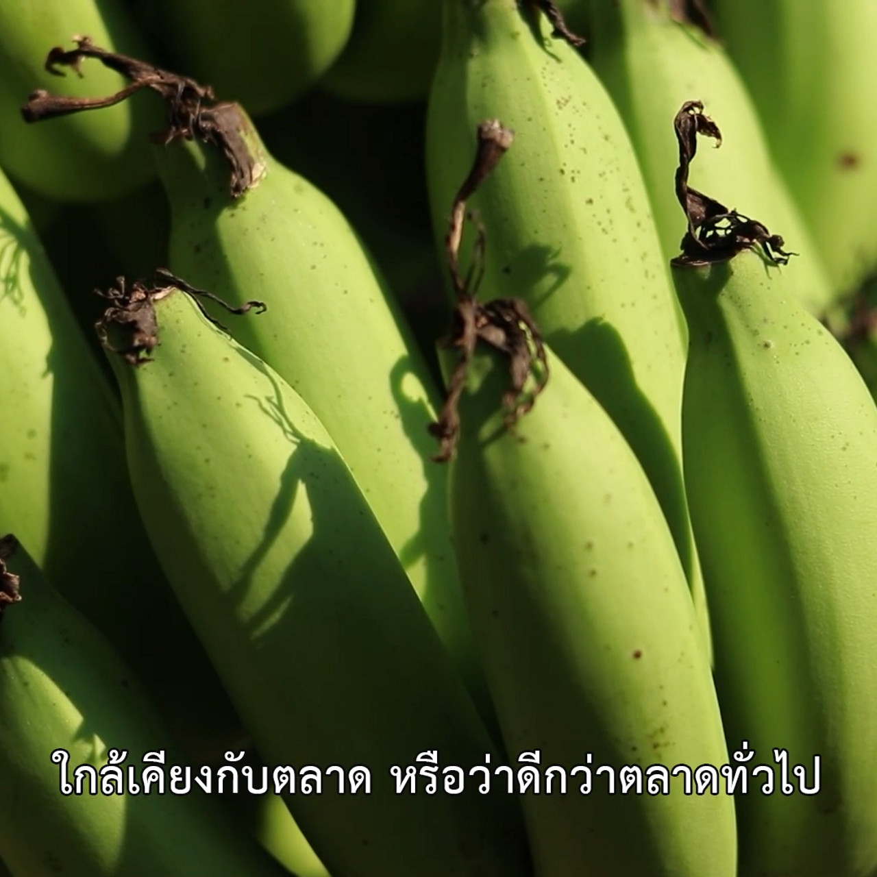 HaveANEWSDay-1-650521- (2)