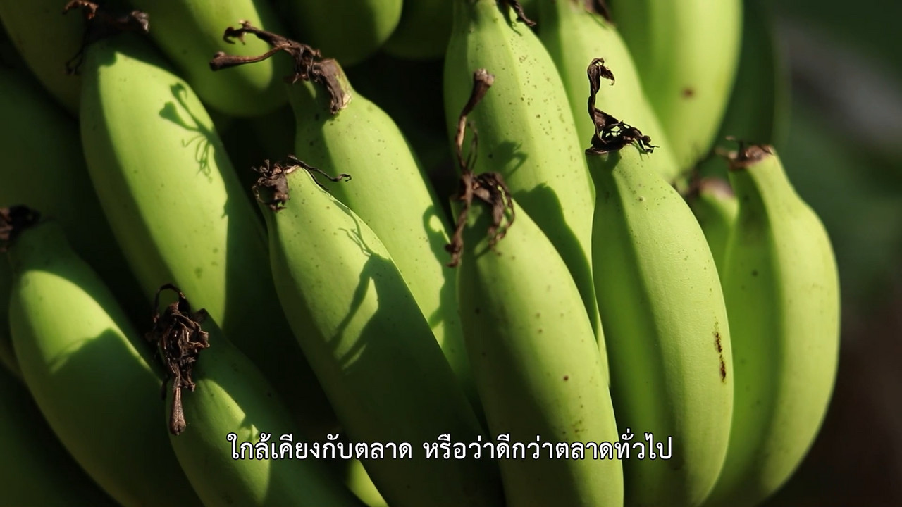 HaveANEWSDay-1-650521- (2)
