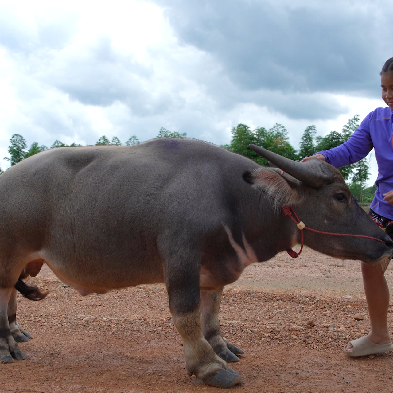 Proudเว่อร์_680822_1