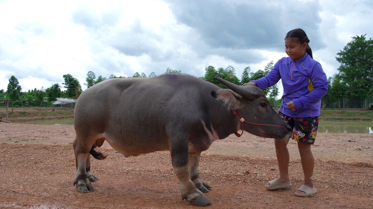 Proudเว่อร์_680822_1